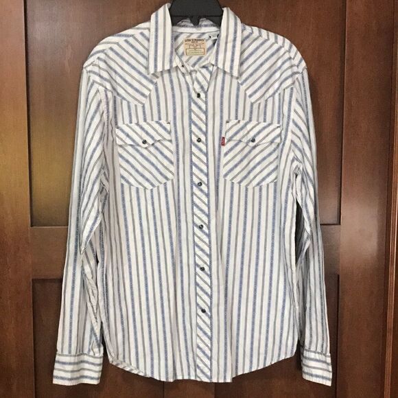 Levi Strauss and Co. Men's Casual Button-down Shirt, Large, Multi-colored - Picture 1 of 7